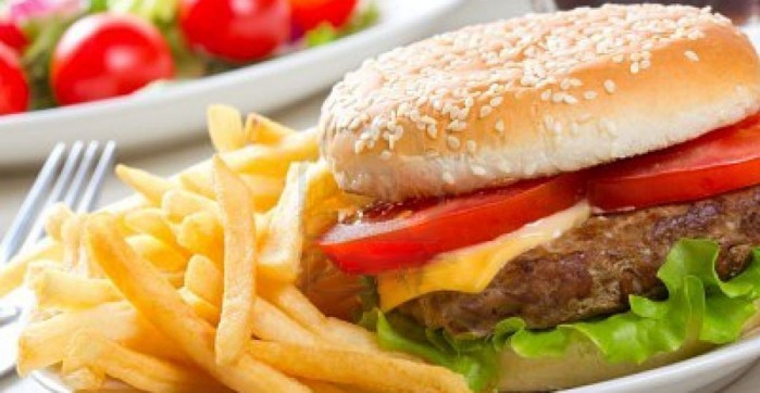 Gaines Burgers Ingredients In Diet