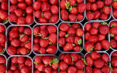 100NO 287: Needles In Strawberries, Poor Food Choices & ARFAD