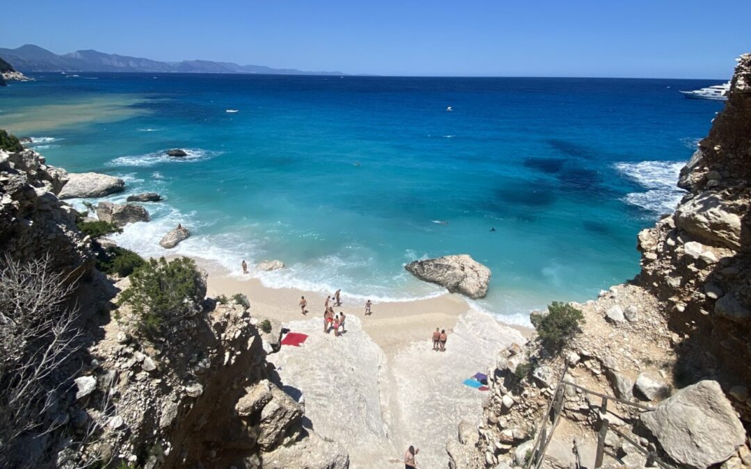 Is Longevity This Simple