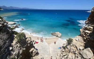 100NO 596: Is Longevity This Simple?