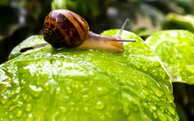 100NO 606: How To Slow Down When Everyone Is Speeding Up