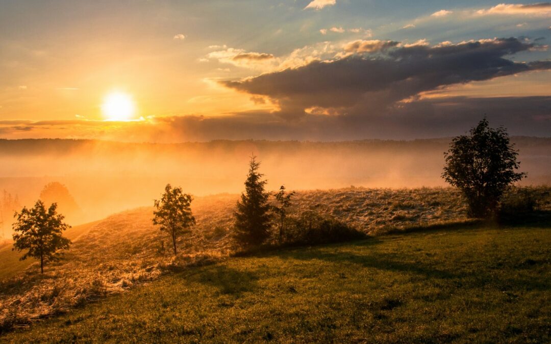 100NO 644: Timing, Excuses & Why Tomorrow Never Comes