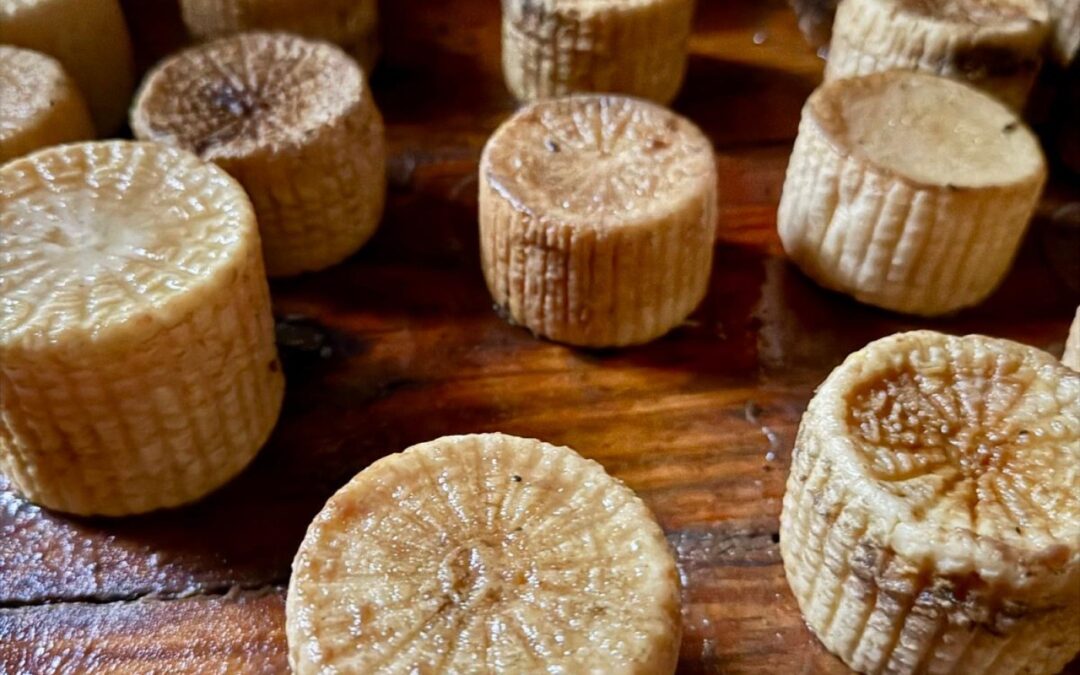 100NO 656: Decoding the Mediterranean Diet Myths and Secrets to Longevity