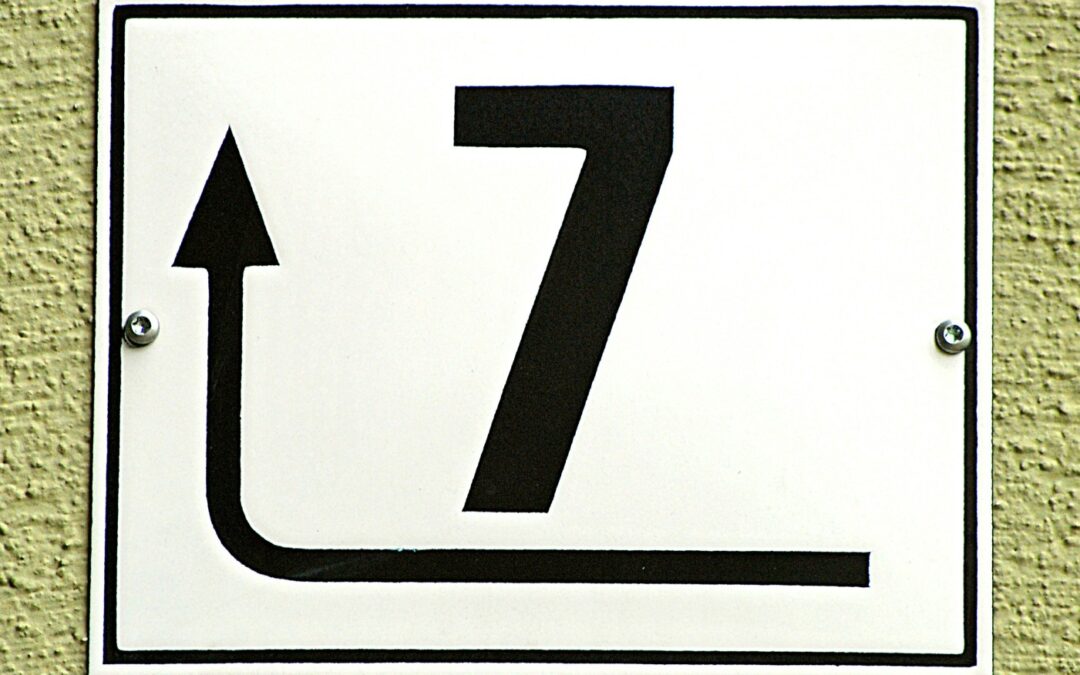 100NO 663: Damo’s 7 Year Cycle Questions