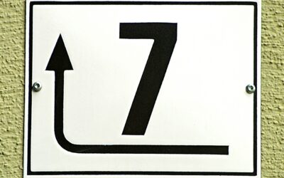 100NO 663: Damo’s 7 Year Cycle Questions