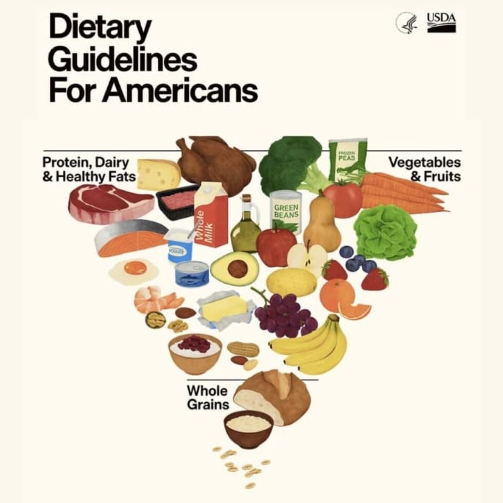 100no 668 Major Food Pyramid Shake Up What The New Guidelines Mean