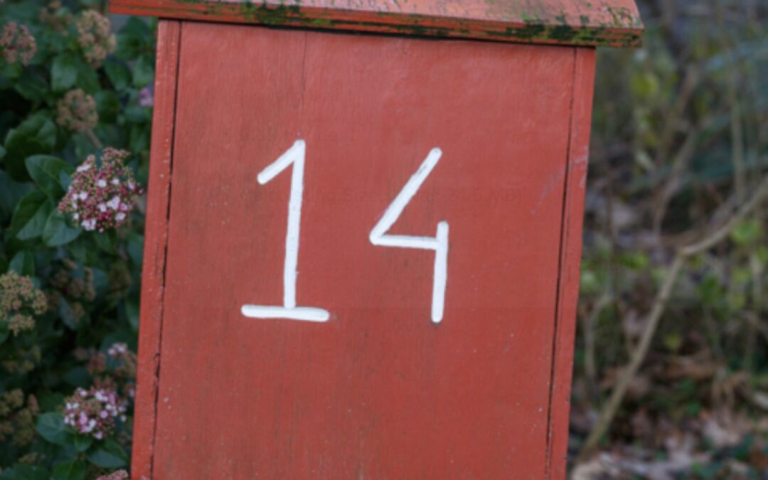 100NO 674: 14 Timeless Longevity Principles