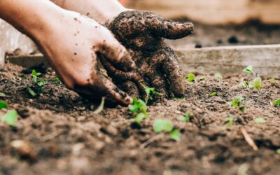 100NO 683: The Ultimate Longevity Exercise: Why Gardening Keeps You Strong and Connected