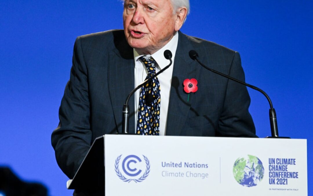Celebrity Centenarians - The Secrets to Longevity from David Attenborough, Dick Van Dyke & Co