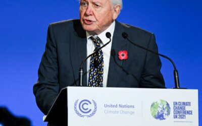 100NO 684: Celebrity Centenarians – The Secrets to Longevity from David Attenborough, Dick Van Dyke & Co